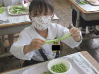 さやむき６