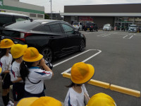 DSCN7186
