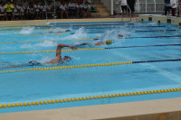 pict-IMG_2646
